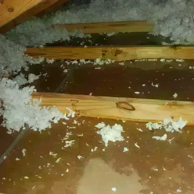 Attic Water Damage in Groveport, OH